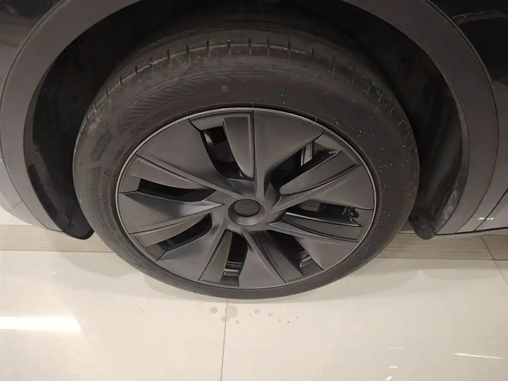 Tesla Model Y — миниатюра 23