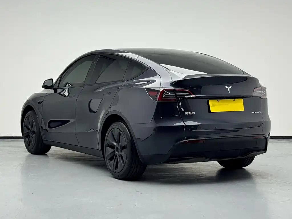 Tesla Model Y — миниатюра 4