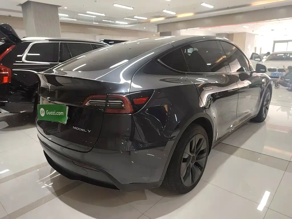 Tesla Model Y — миниатюра 7
