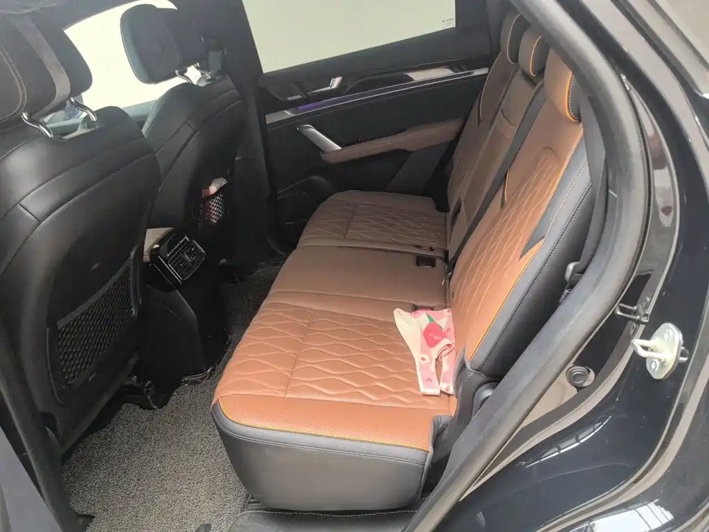 BYD Tang New Energy — миниатюра 18
