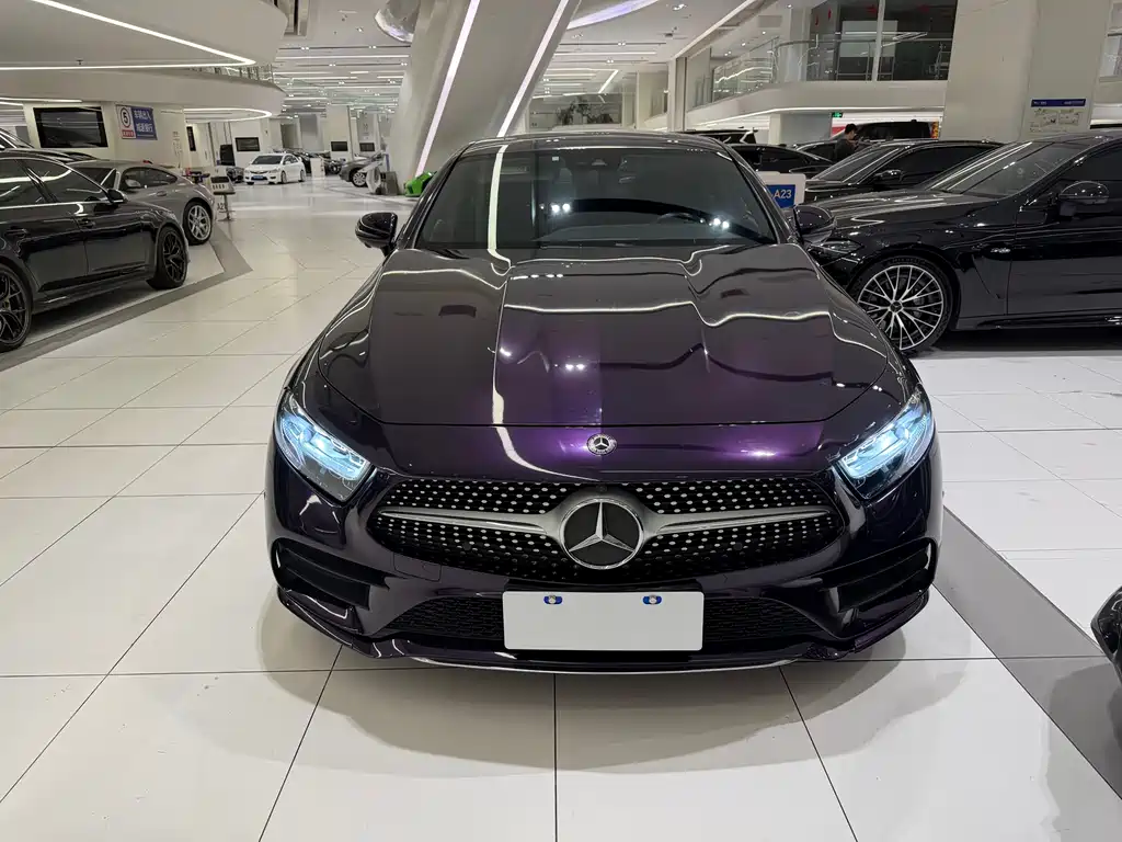 Mercedes-Benz CLS 2021 CLS 300 Luxury