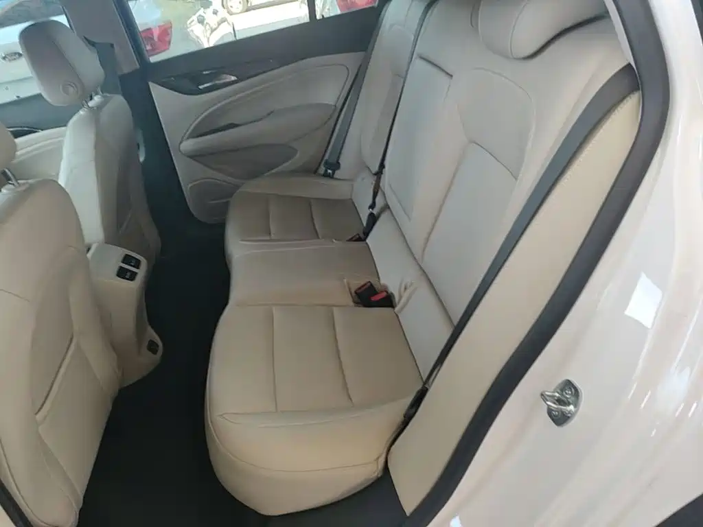 Buick Regal — миниатюра 17