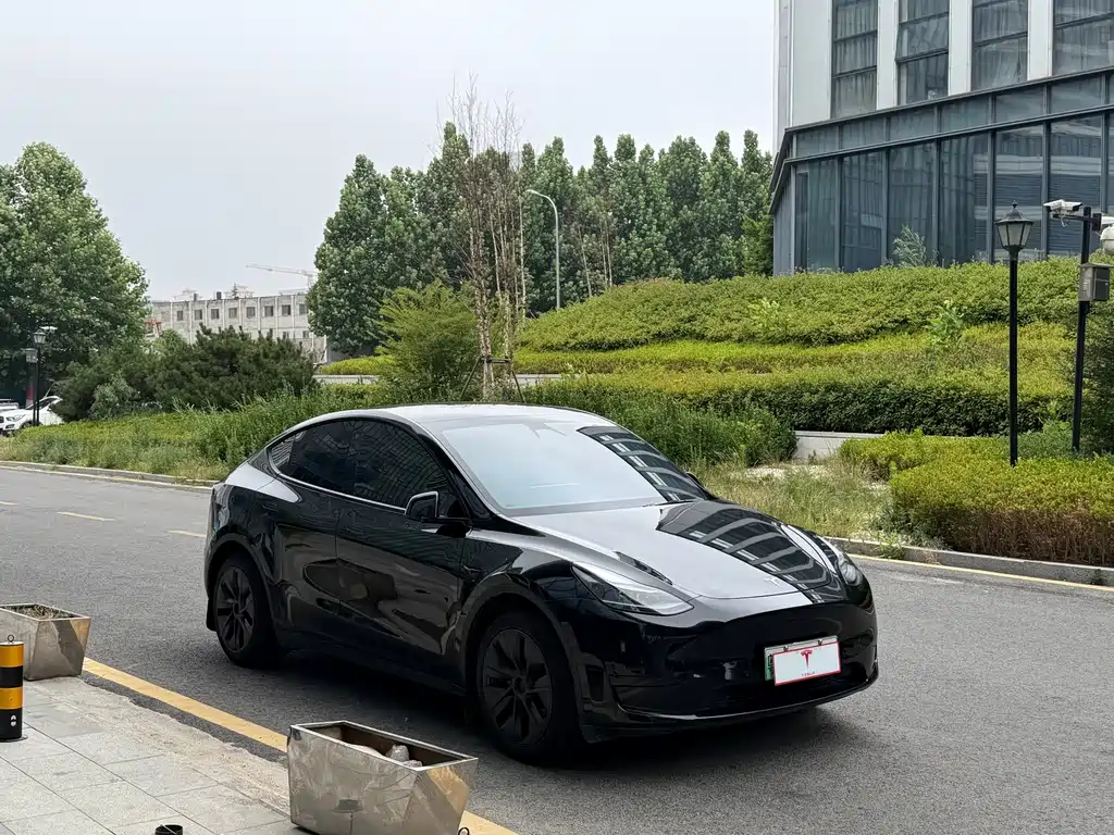Tesla Model Y — миниатюра 3