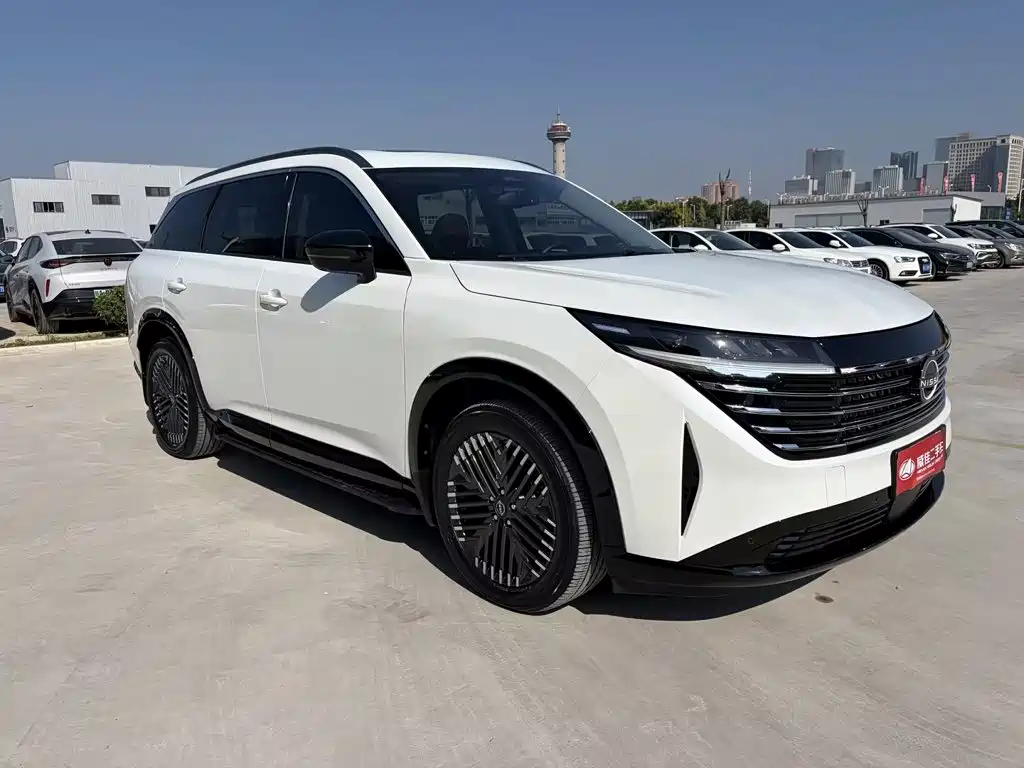 Nissan Teramont — миниатюра 3
