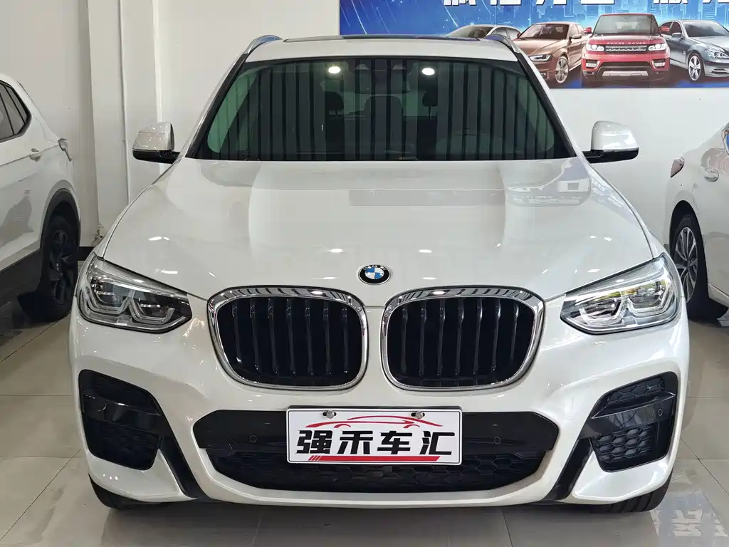 BMW X3 — миниатюра 2