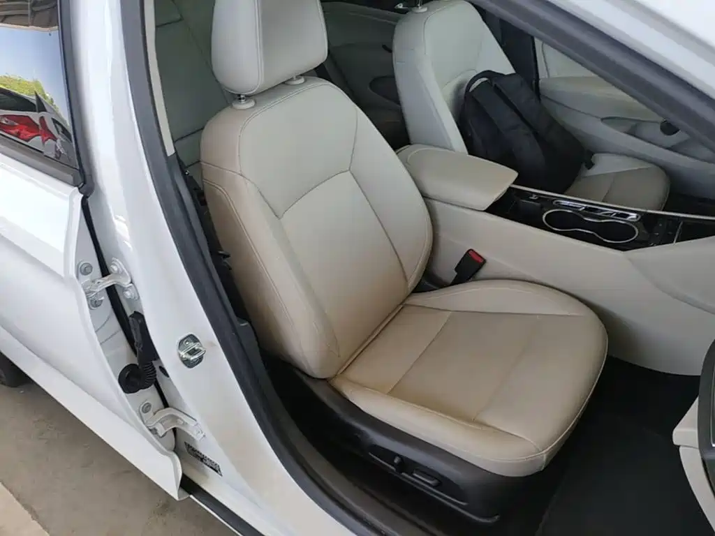Buick Regal — миниатюра 25