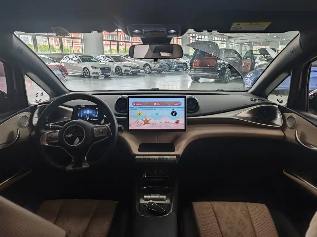 BYD Dolphin 2023 420km Fashion