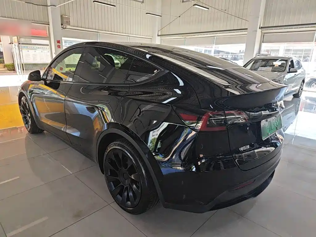 Tesla Model Y — миниатюра 5