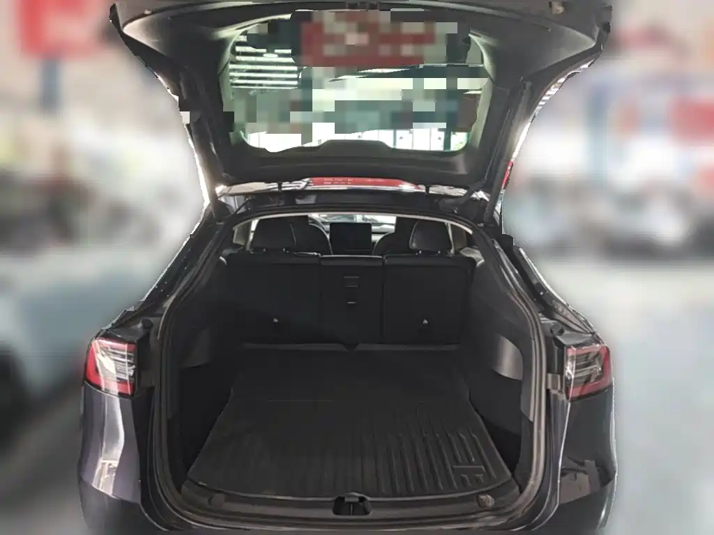 Tesla Model Y — миниатюра 24