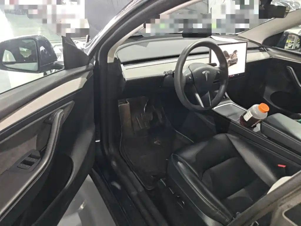 Tesla Model Y — миниатюра 21