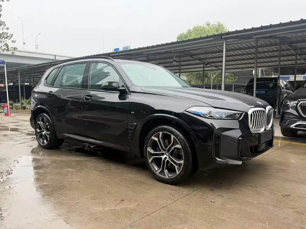 BMW X5 — миниатюра 3