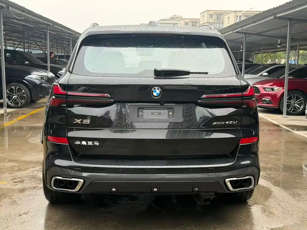 BMW X5 — миниатюра 9