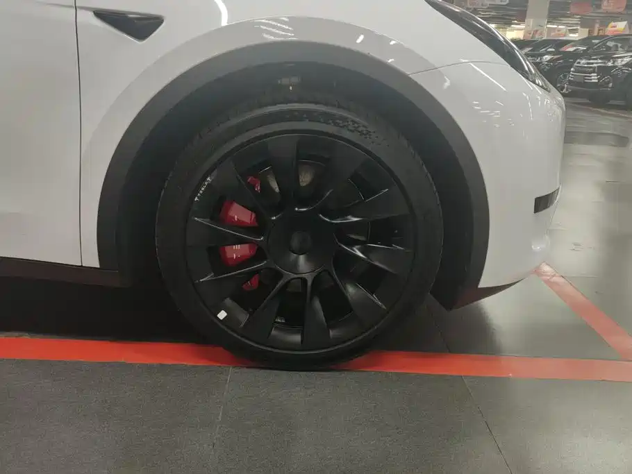 Tesla Model Y — миниатюра 6