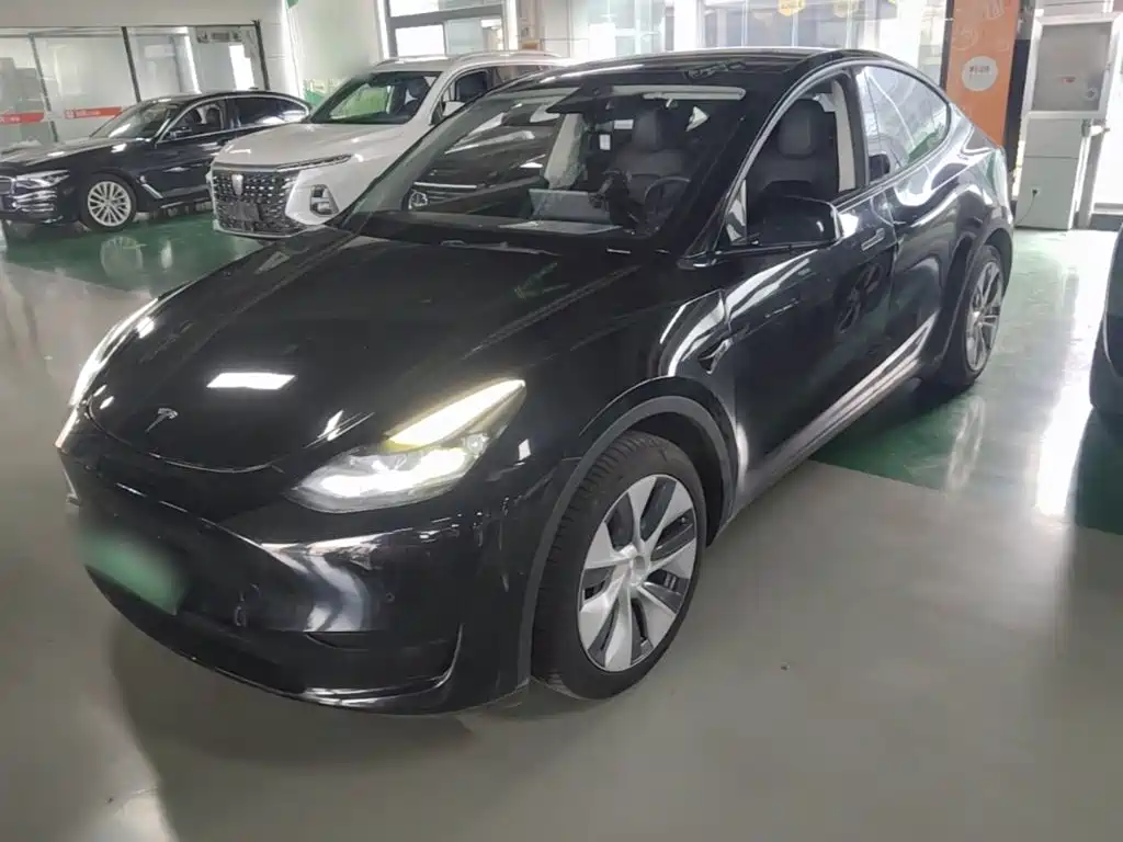 Tesla Model Y — миниатюра 2