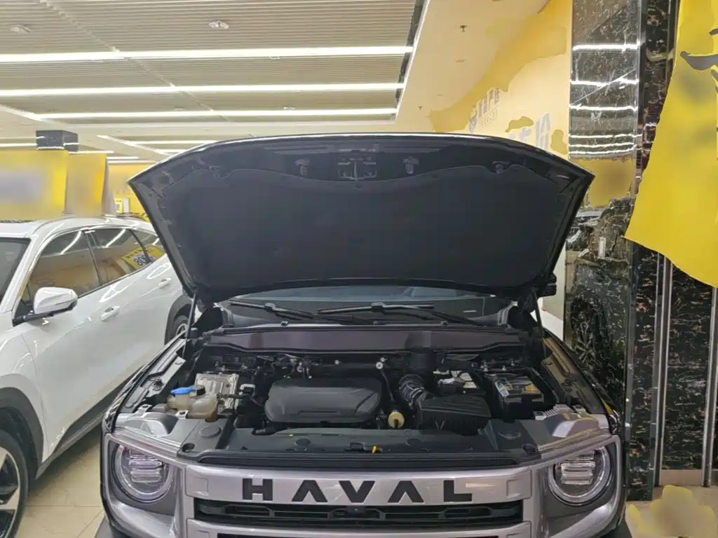 Haval Big Dog — миниатюра 20