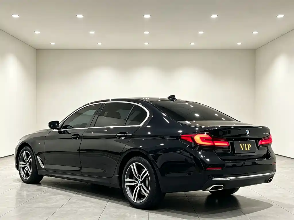 BMW 5 Series — миниатюра 10