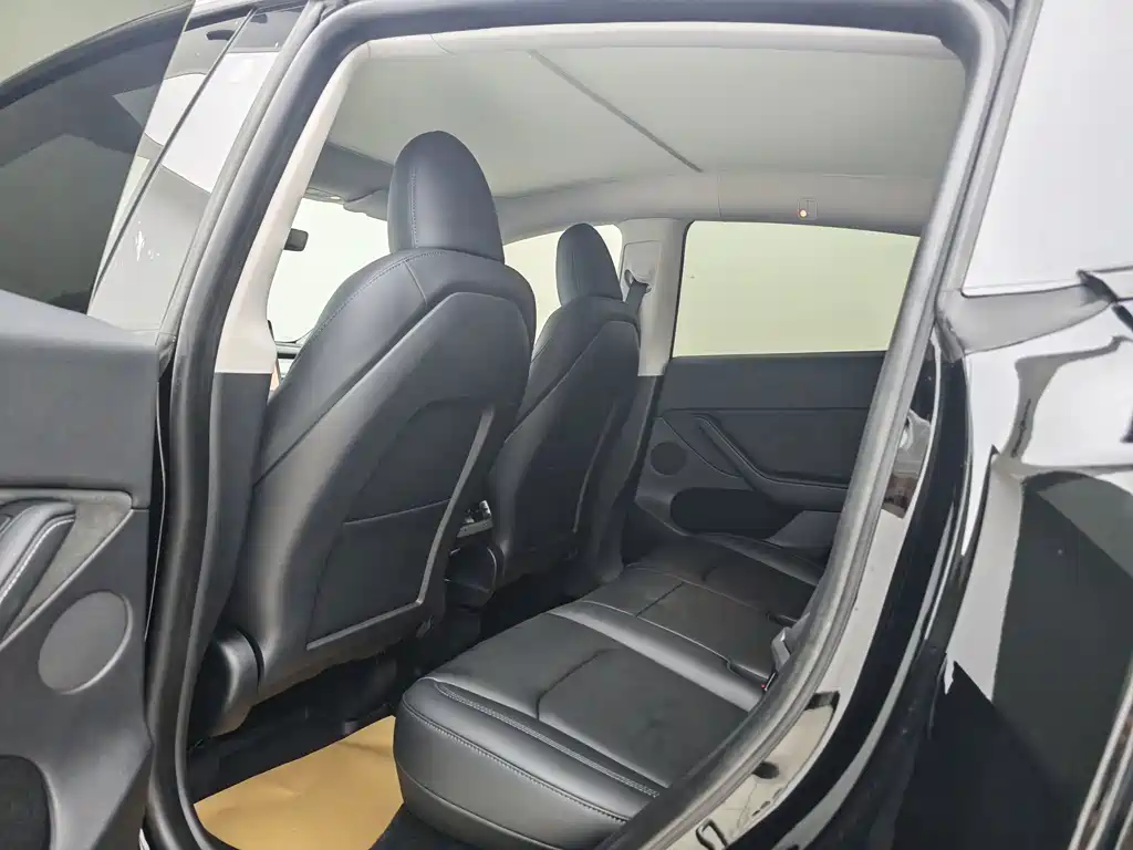 Tesla Model Y — миниатюра 6