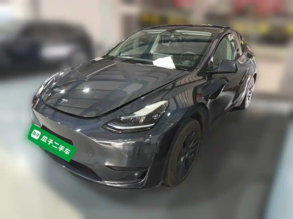 Tesla Model Y — миниатюра 3