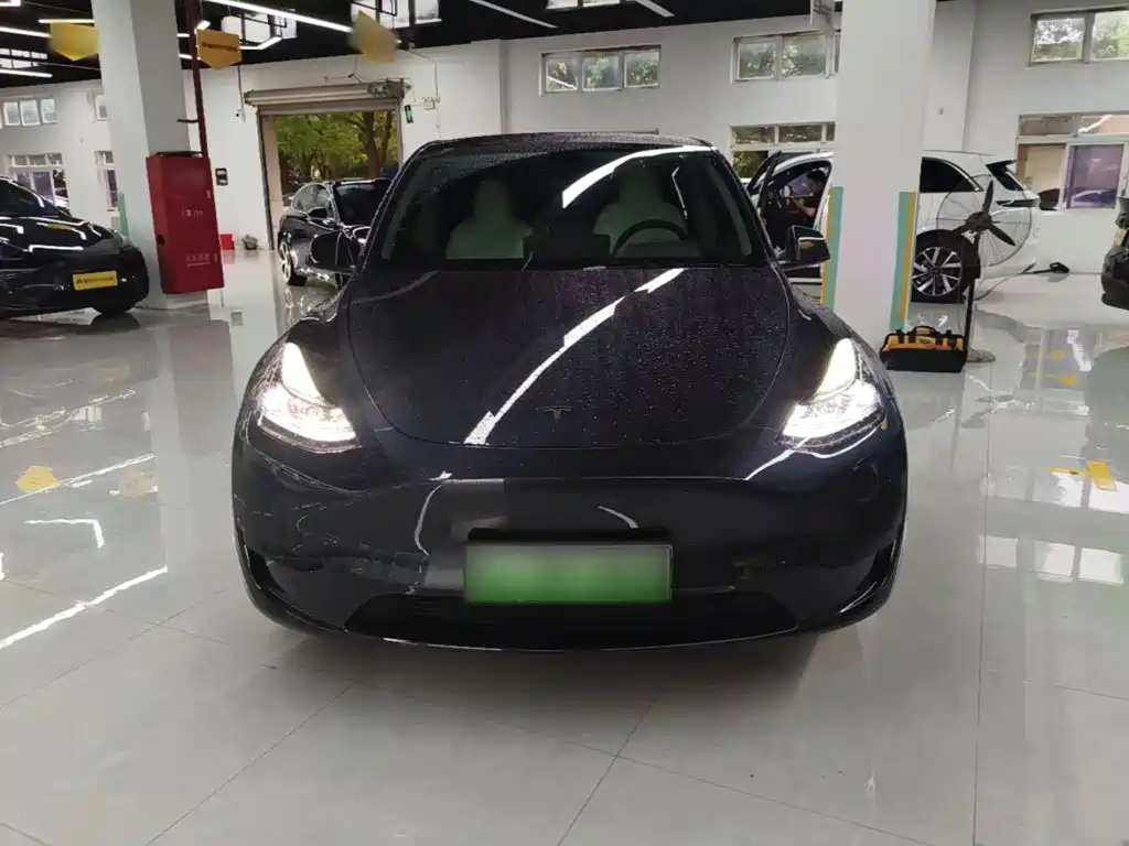 Tesla Model Y — миниатюра 3