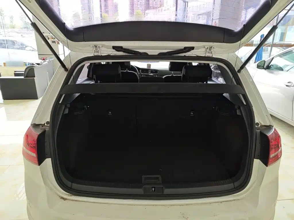Volkswagen Golf — миниатюра 19