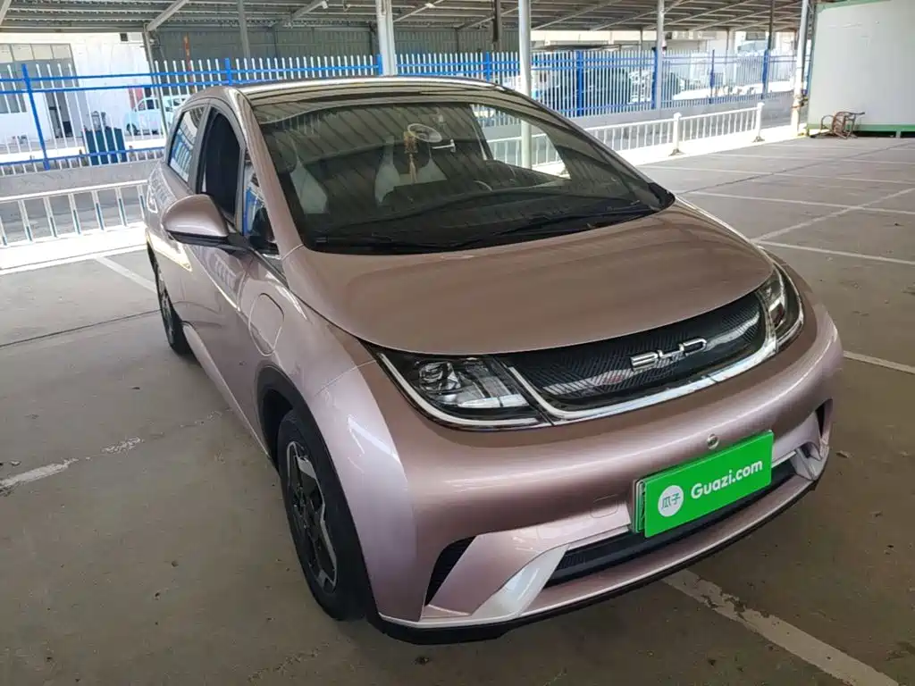 BYD Dolphin — миниатюра 4