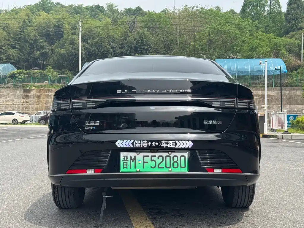 BYD Destroyer 05 2023 Champion DM-i 55KM Luxury