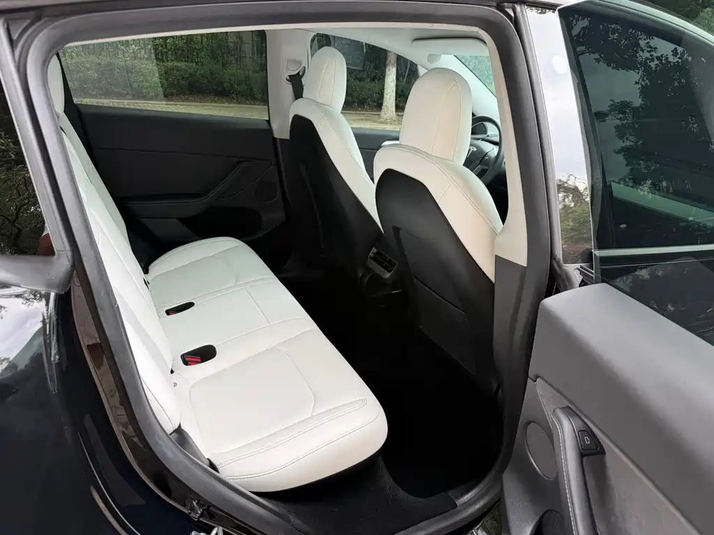 Tesla Model Y — миниатюра 12