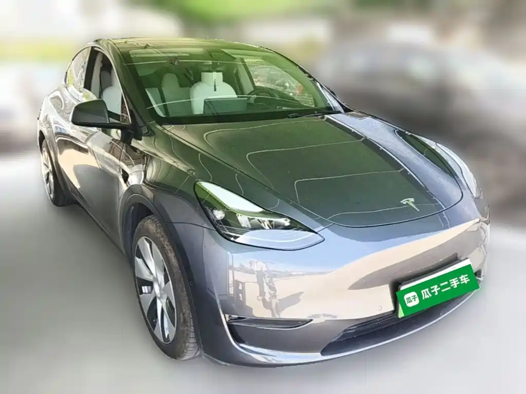 Tesla Model Y — миниатюра 7