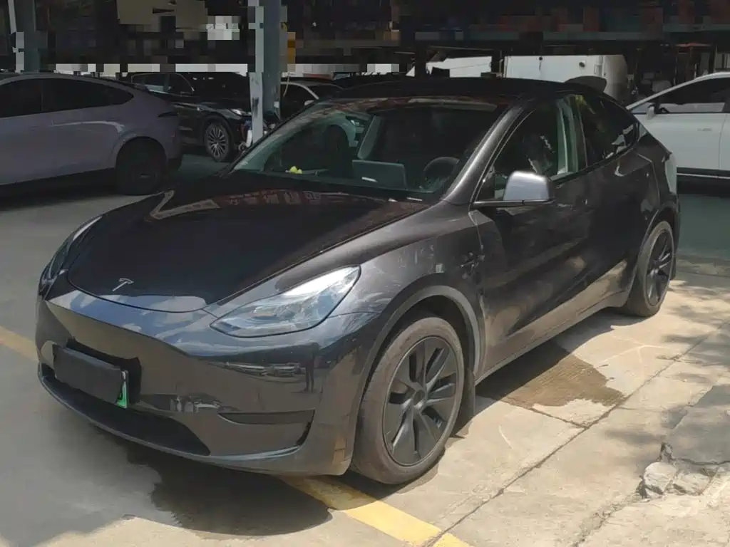 Tesla Model Y — миниатюра 2