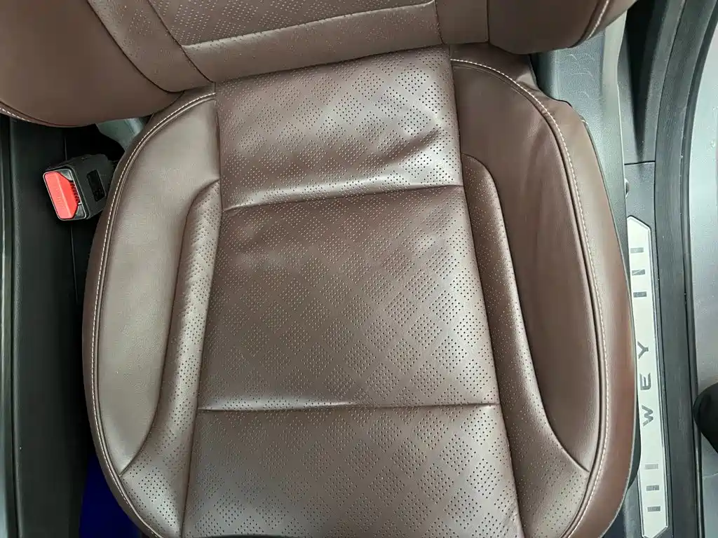 Wey Wey VV6 — миниатюра 15