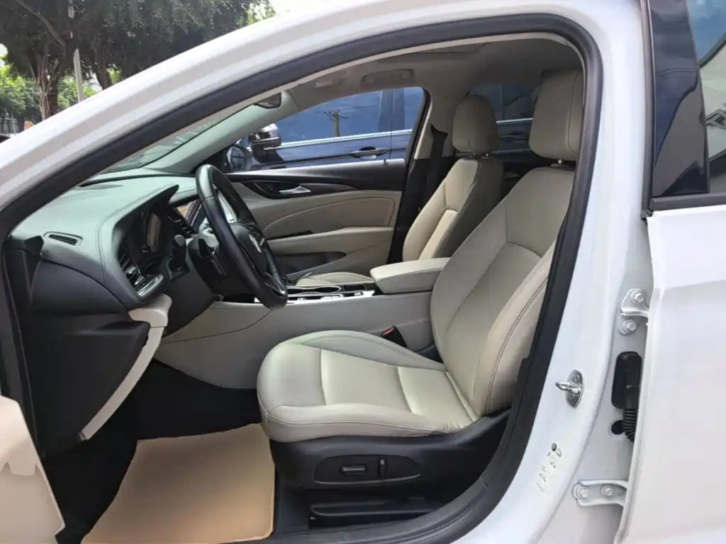 Buick Regal — миниатюра 15