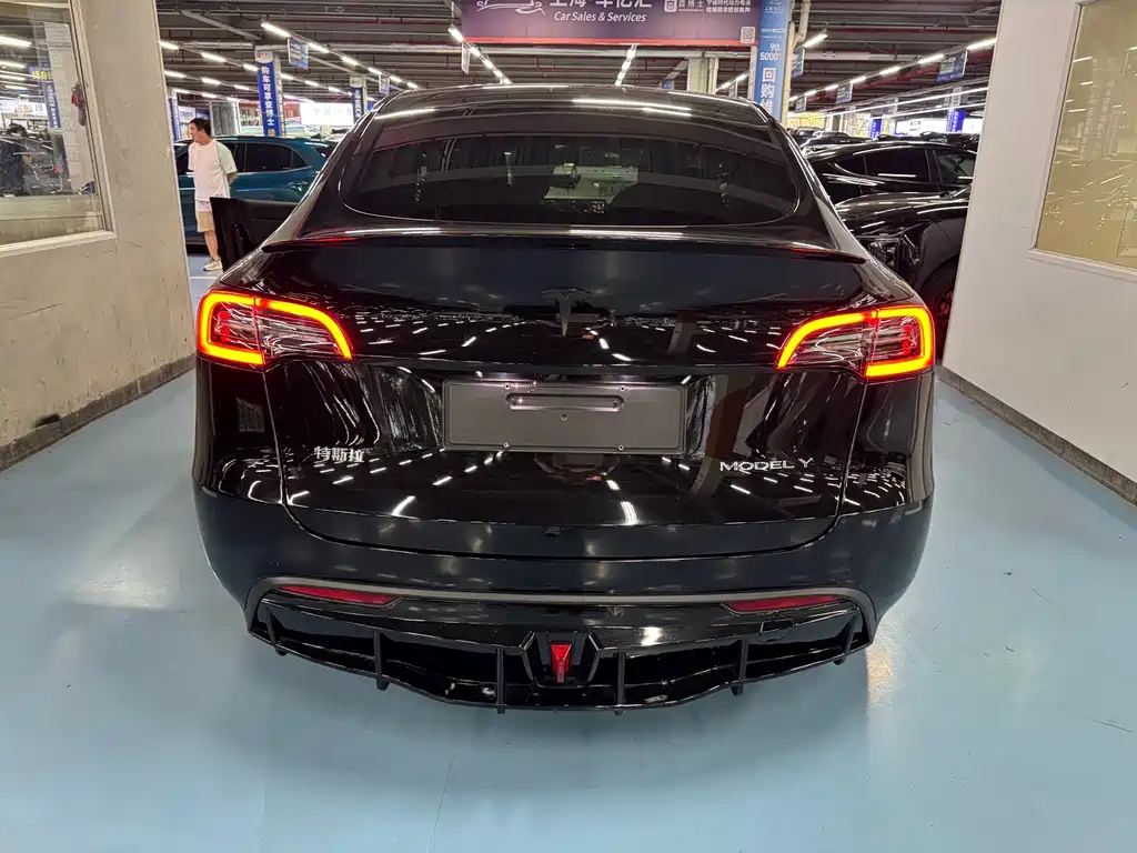 Tesla Model Y — миниатюра 4