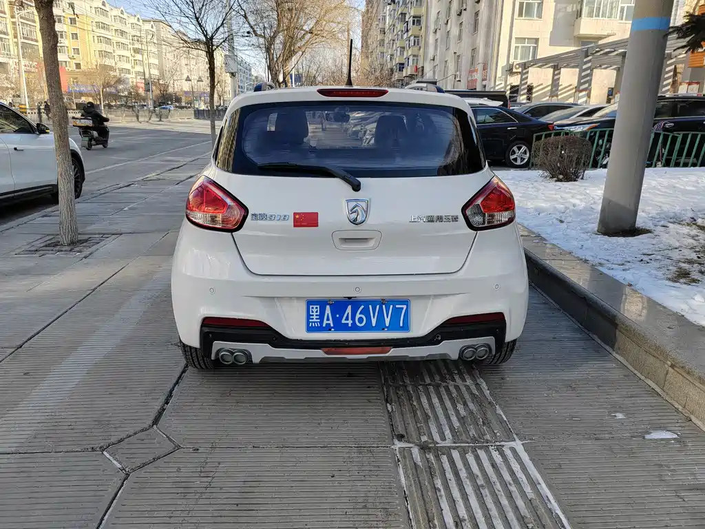 BAOJUN 310