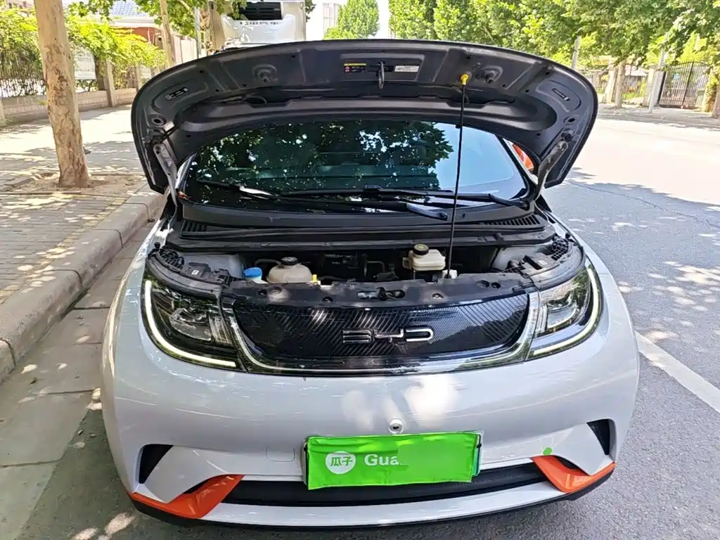 BYD Dolphin — миниатюра 20