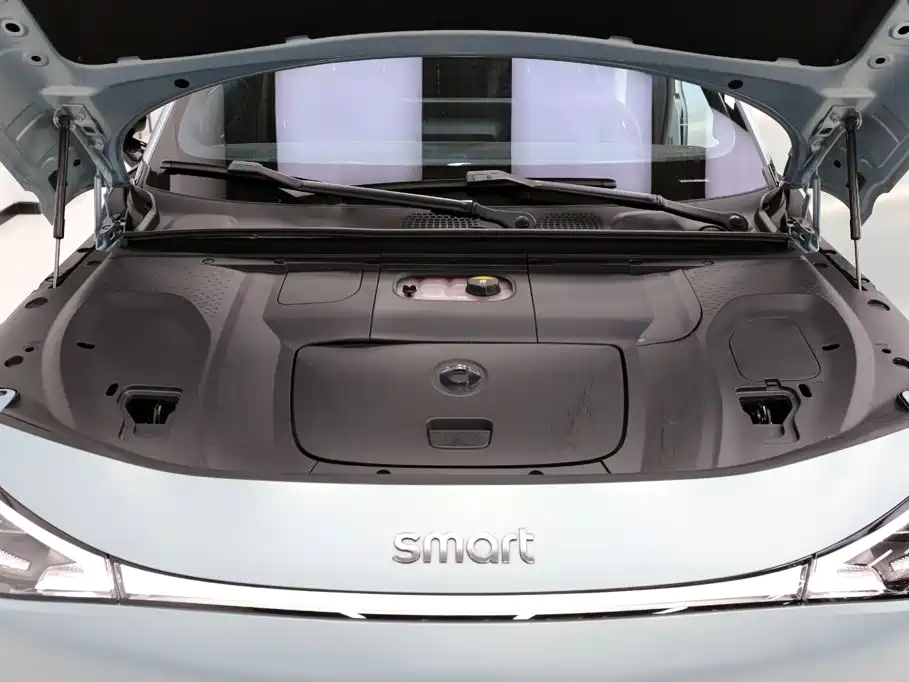 smart Smart #3 — миниатюра 21