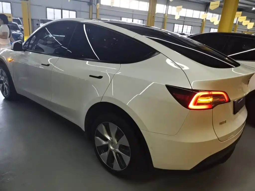Tesla Model Y — миниатюра 5