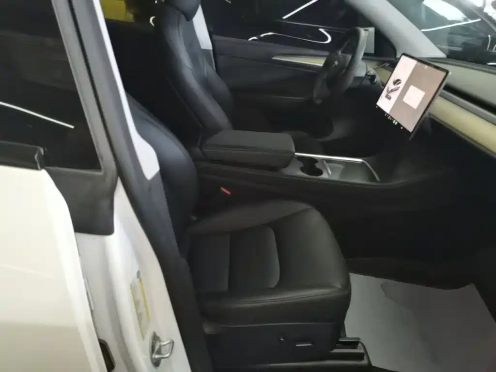 Tesla Model Y — миниатюра 25