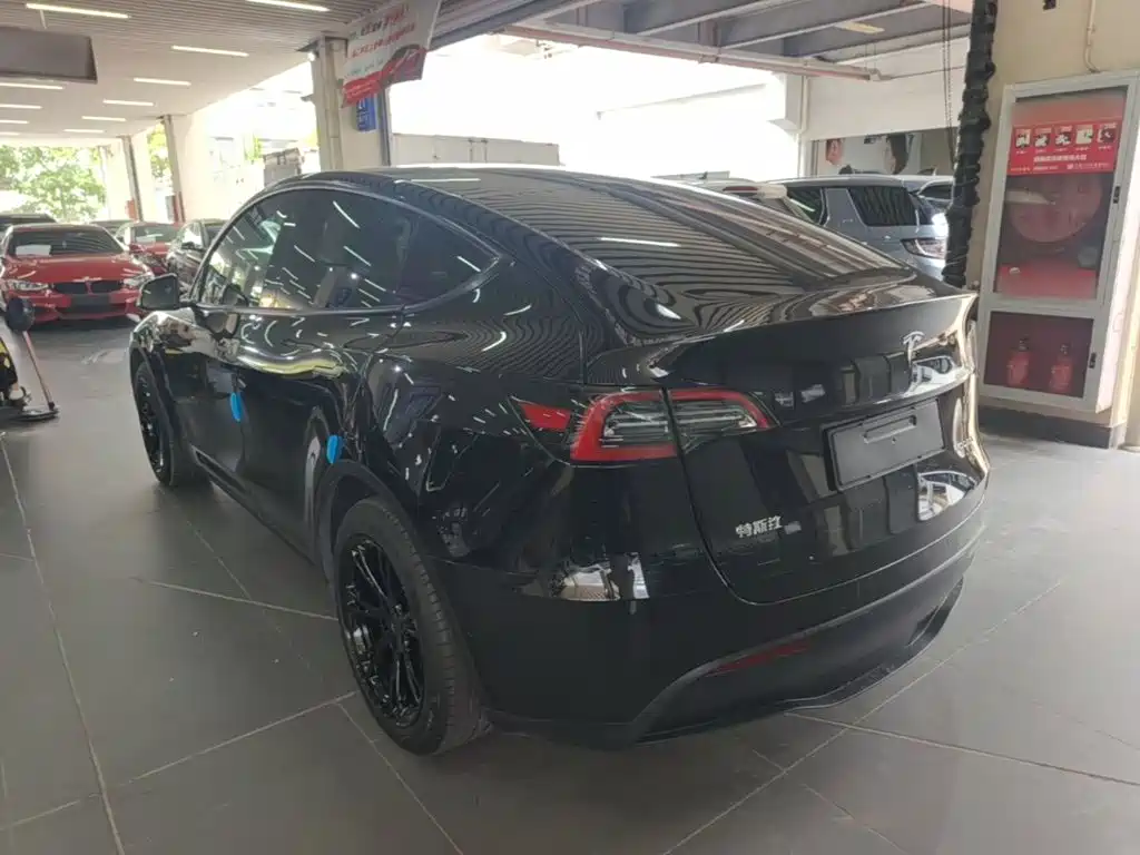 Tesla Model Y — миниатюра 5