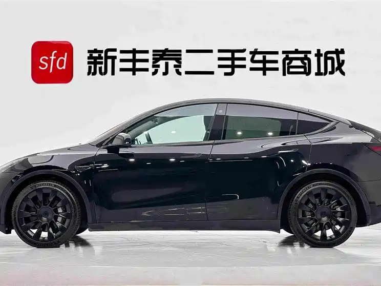 Tesla Model Y — миниатюра 4