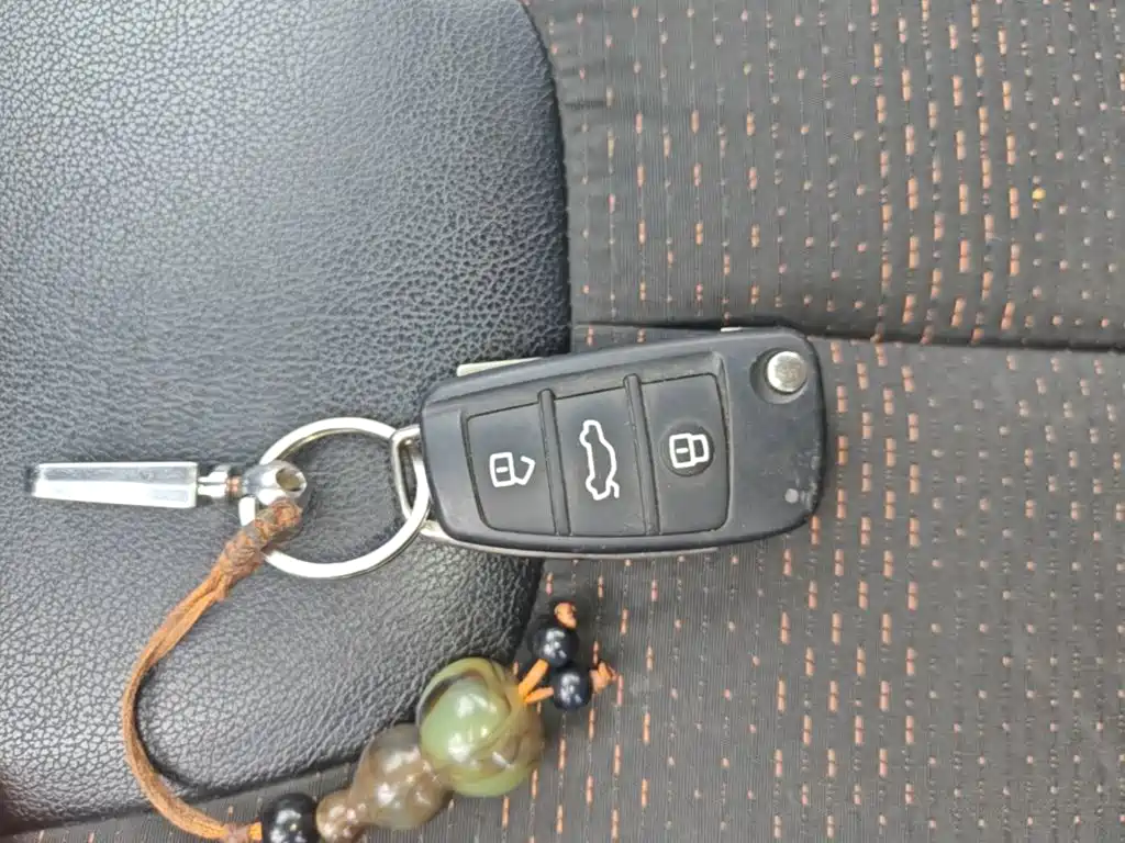 Chery Tiggo 3x — миниатюра 15