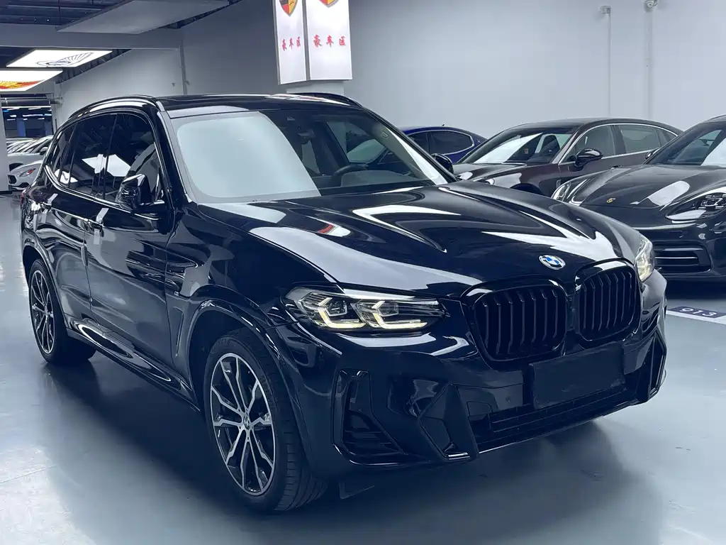 BMW X3 2023 xDrive30i Lead M