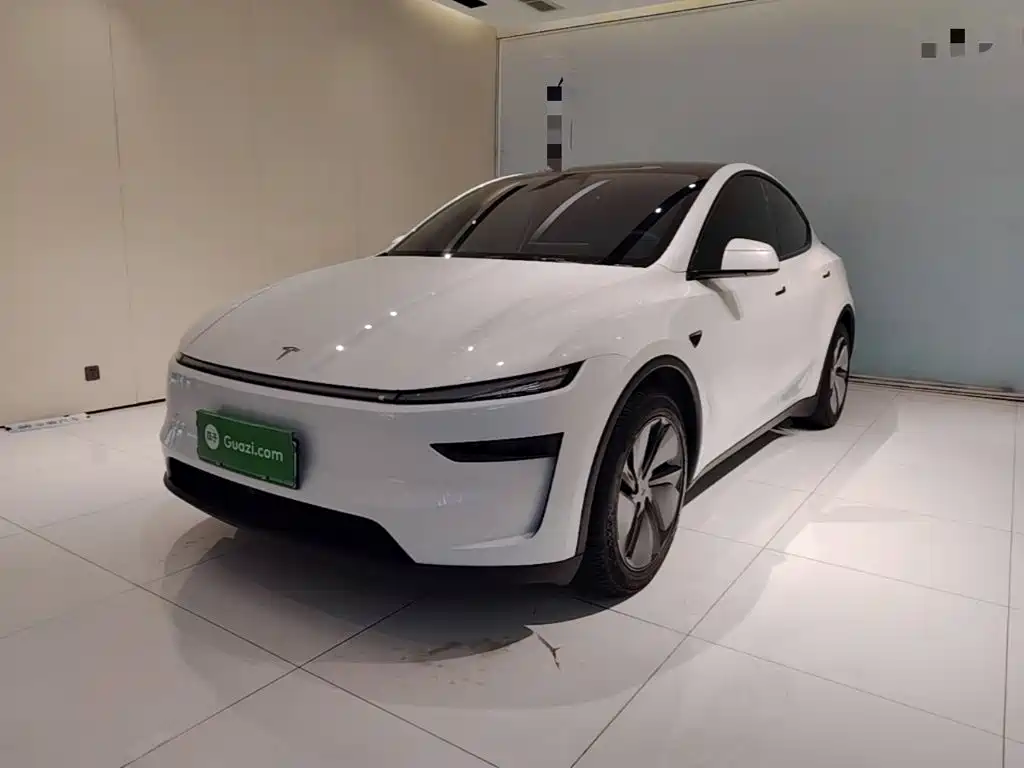 Tesla Model Y — миниатюра 2