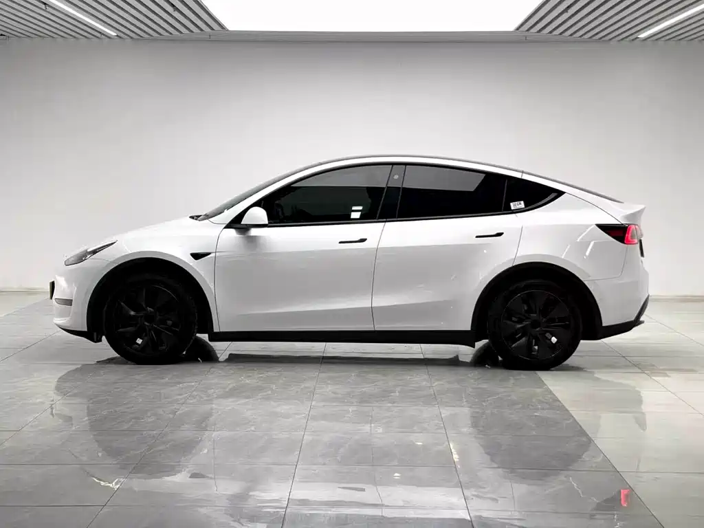 Tesla Model Y — миниатюра 7