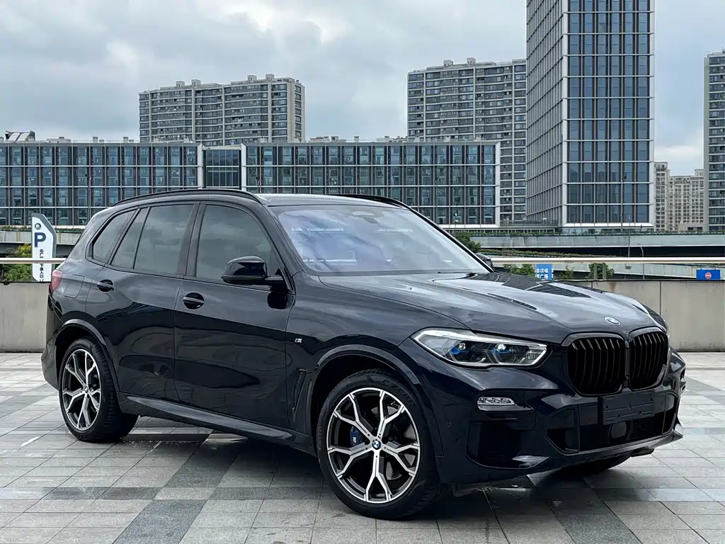 BMW X5 (Import) — миниатюра 3