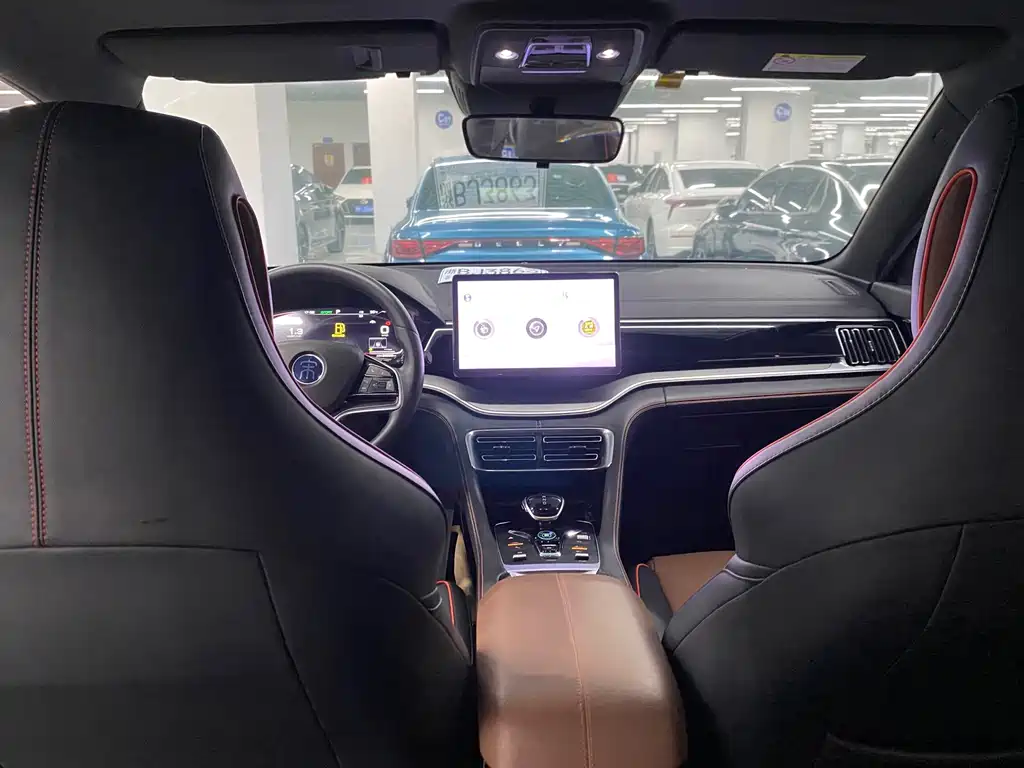 BYD PLUS — миниатюра 5