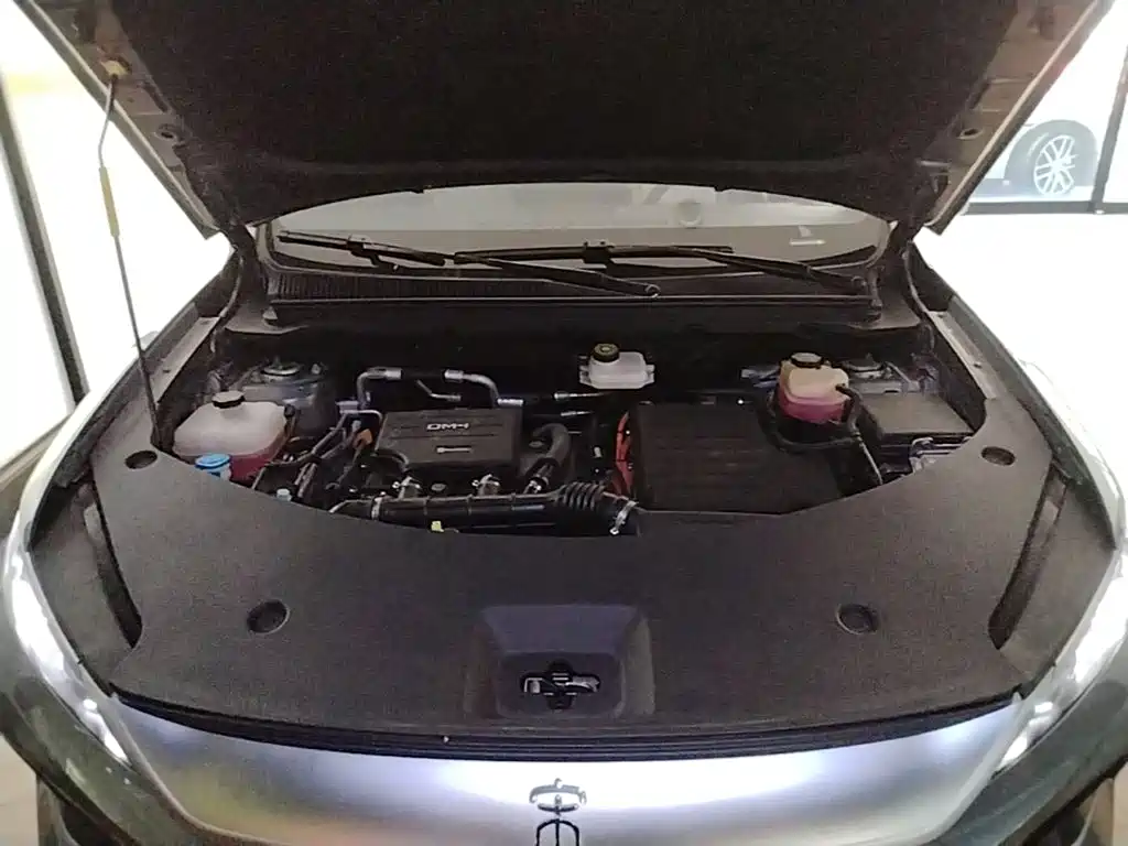 BYD Pro New Energy — миниатюра 20