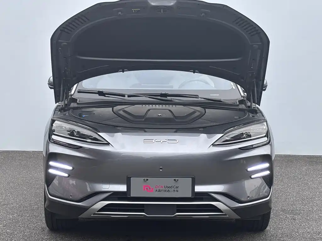 BYD PLUS New Energy — миниатюра 11