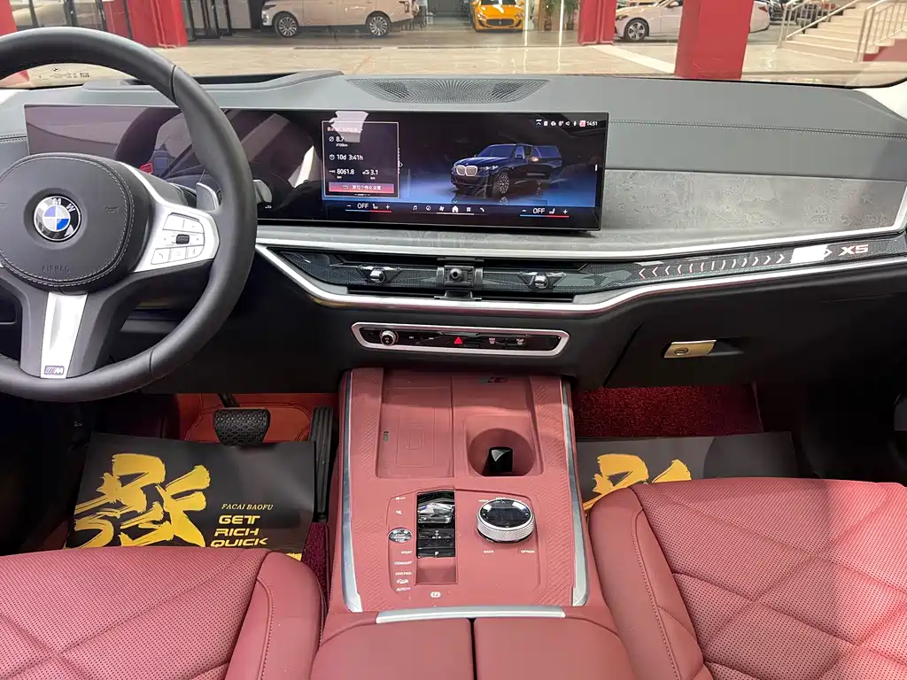 BMW X5 — миниатюра 11