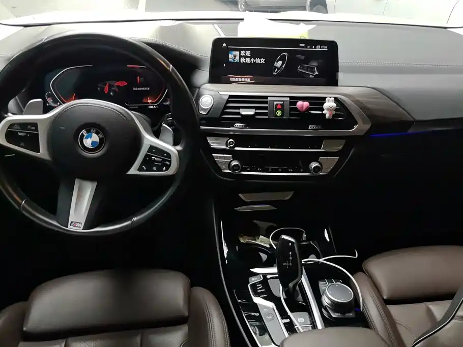 BMW X3 — миниатюра 12