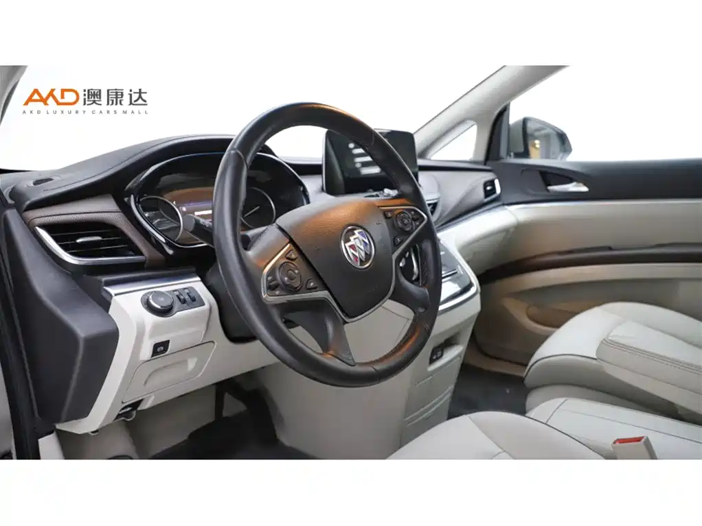 Buick GL8 — миниатюра 6